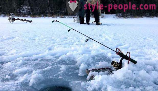 Jakt och fiske i Perm-regionen: särskilt fiske, typer av jakt och fiske