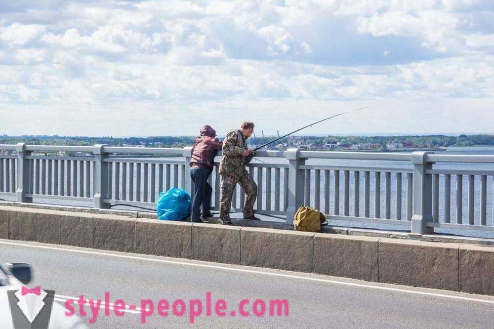 Fiske i Saratov på Volga: foton och recensioner