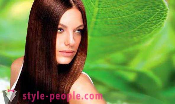 Färglös henna för hår förstärkning: egenheter användningsområden, rekommendationer och recensioner