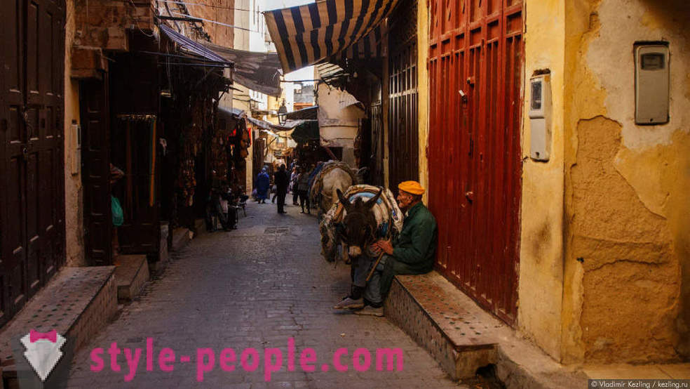 Marockanska saga: en stinkande Fes