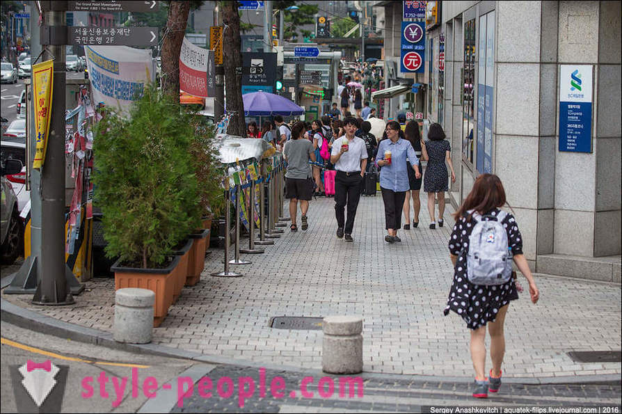 Hur liva upp betongdjungeln i Seoul