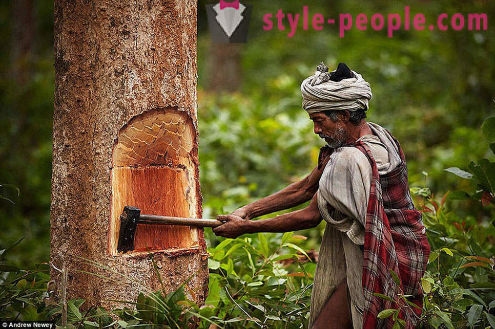 De sista jägare-samlare: livet av en primitiv stam i Nepal
