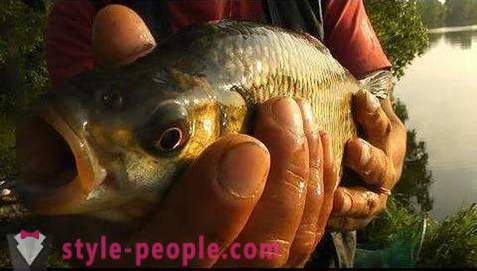 Fiske på Pakhra: foton och recensioner. fiskeplatser