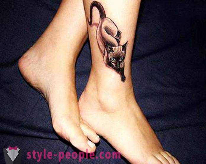 Tatuering på hans ben katten: ett foto, ett värde