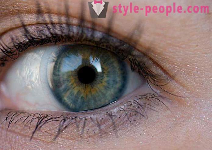 Swamp ögonfärg. Vad bestämmer färgen på det mänskliga ögat?