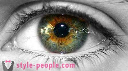 Swamp ögonfärg. Vad bestämmer färgen på det mänskliga ögat?