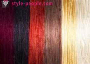 Paletten av färger för hår 