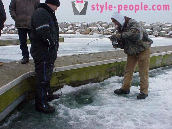 Fishers notera: öringfiske på vintern