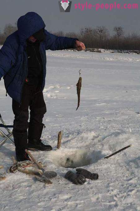 Lake fiske i vinter på zherlitsy. Fånga lake på vintern trolling