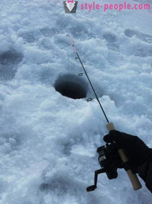 Lake fiske i vinter på zherlitsy. Fånga lake på vintern trolling